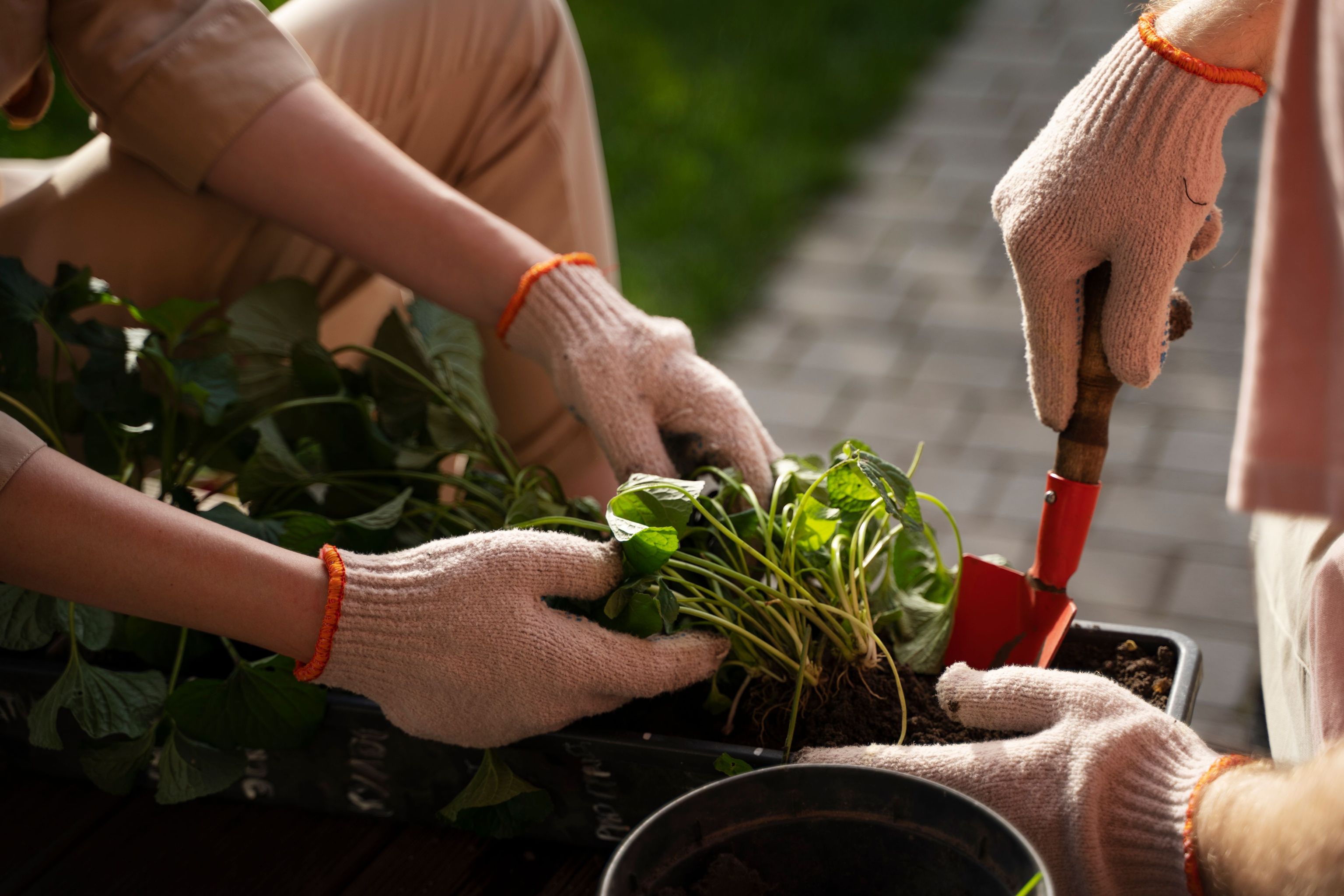 Habit Hack: Embrace a Green Lifestyle for Earth Day and Everyday – DuoGen