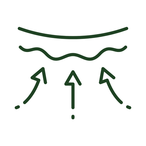 The Complete Renewal Kit