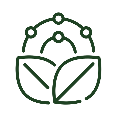 SPF 50+ Daily Moisturiser 50ml